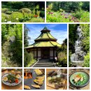 Harzer GenussTage - Termin 12.06.2026